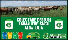 Animaliere-SNCU Alba Iulia