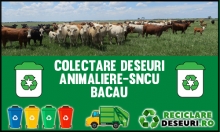 Animaliere-SNCU Bacau