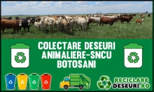 Animaliere-SNCU Botosani