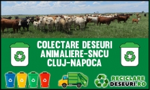 Animaliere-SNCU Cluj-Napoca
