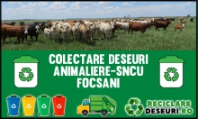 Animaliere-SNCU Focsani