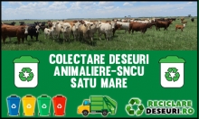 Animaliere-SNCU Satu Mare