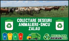 Animaliere-SNCU Zalau