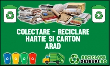 Hartie-Carton Arad
