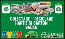 Hartie-Carton Bacau
