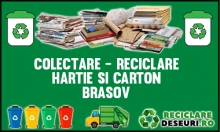 Hartie-Carton Brasov