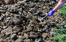 Reciclare Deseuri Alba Iulia Colectare Deseuri Animaliere SNCU Alba Iulia