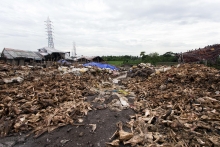 Reciclare Deseuri Botosani Colectare Deseuri Animaliere SNCU Botosani