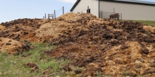 Reciclare Deseuri Sfantu Gheorghe Colectare Deseuri Animaliere SNCU Sf. Gheorghe
