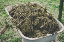 Reciclare Deseuri Sfantu Gheorghe Colectare Deseuri Animaliere SNCU Sf. Gheorghe