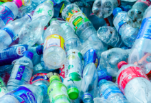 Reciclare Deseuri Oradea Colectare Reciclare Plastic PET Oradea