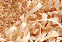 Reciclare Deseuri Braila Colectare Reciclare Lemn Braila IOCONPREZ