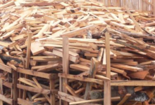 Reciclare Deseuri Sfantu Gheorghe Colectare Reciclare Lemn Sf. Gheorghe
