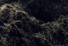 Reciclare Deseuri Arad Colectare Reciclare Deseuri Agricole Arad