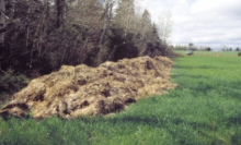 Reciclare Deseuri Alba Iulia Colectare Reciclare Deseuri Agricole Alba Iulia