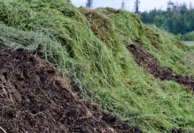 Reciclare Deseuri Cluj-Napoca Colectare Reciclare Deseuri Agricole Cluj-Napoca