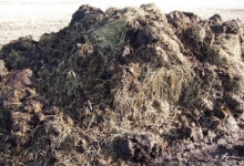 Reciclare Deseuri Deva Colectare Reciclare Deseuri Agricole Deva