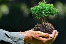 Reciclare Deseuri Sibiu ALKOR Consultanta de Mediu Sibiu