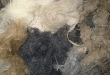 Reciclare Deseuri Targu Jiu Colectare Reciclare Deseuri Textile Tg Jiu LARISUCA GOB