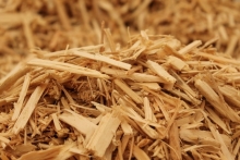 Reciclare Deseuri Targu Jiu Colectare Reciclare Deseuri Lemnoase LARISUCA GOB