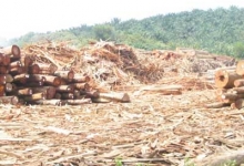 Reciclare Deseuri Satu Mare MONDOREK SRL