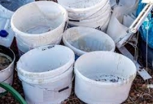 Reciclare Deseuri Galati Colectare Reciclare Plastic PET Galati - ECO WORLD PRODUCTION