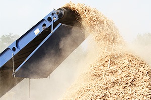 colectare reciclare lemn constanta colectare reciclare lemn constanta