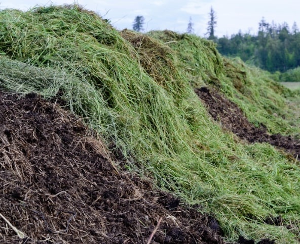 colectare deseuri agricole arad