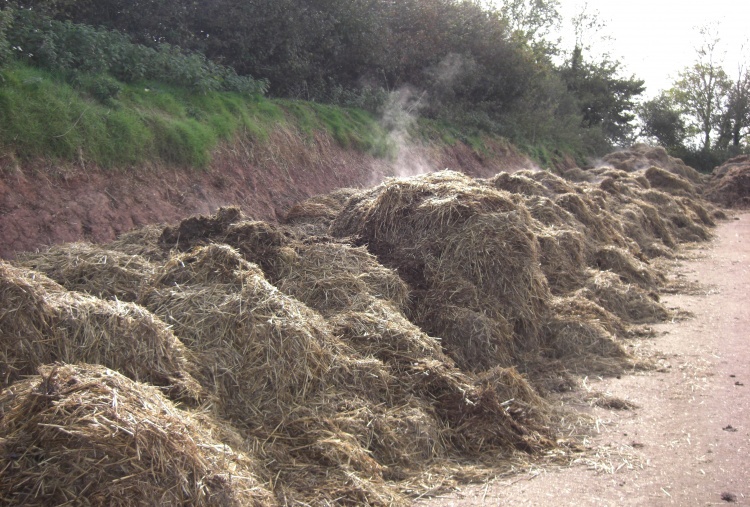 colectare reciclare deseuri agricole tulcea colectare reciclare deseuri agricole tulcea