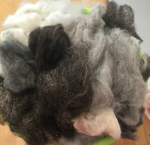 colectare deseuri textile braila